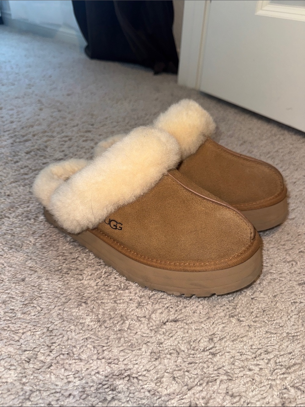 UGG Chestnut Suede Sheepskin Loafer with Cream Fur Collar